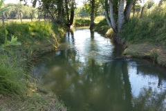 La Laines à Longeville-sur-la-Laines