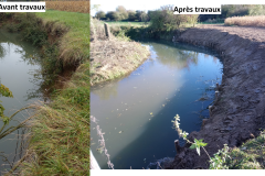 Travaux de génie écologique