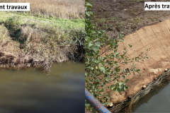 Travaux de génie écologique